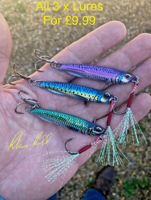 Casting Jig and Spinner 30g Mackerel Bass Pollack Pike Fishing Lure  UK
