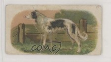 1916 Millbank Animals Stand-Ups Tobacco Borzoi or Russian Wolf Hound #1 z6d