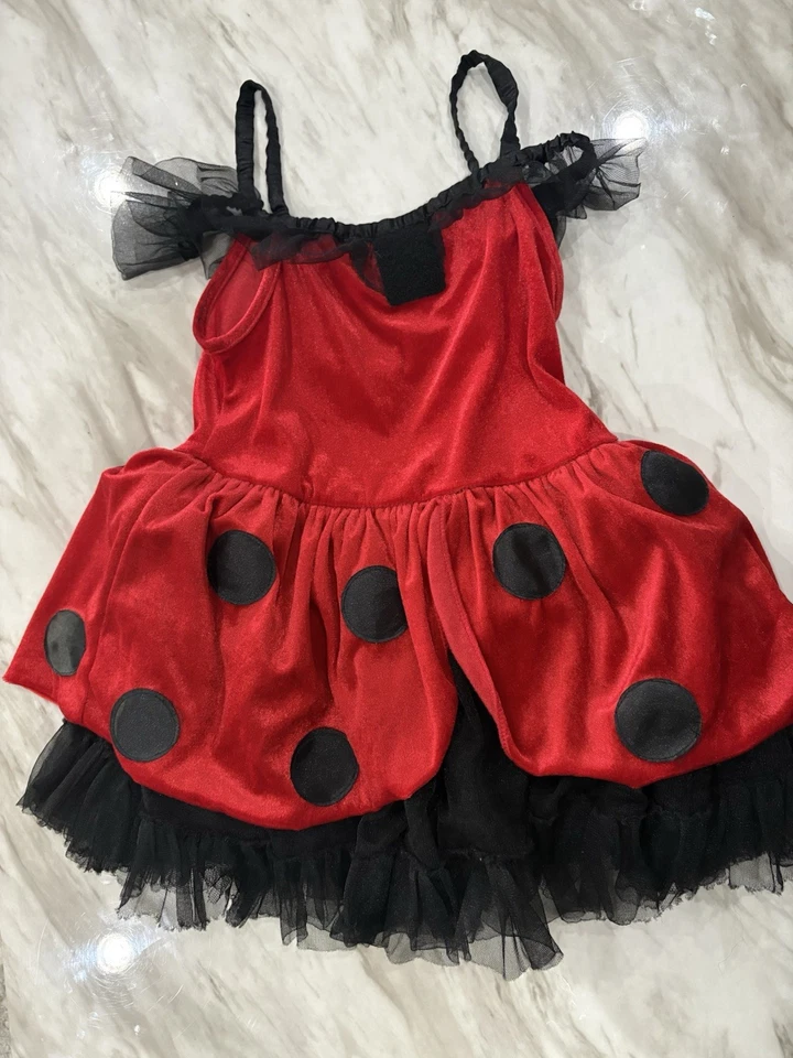 Vestido Disfraz Ladybug Niñas Frolics M 5-6 Foto 4 de 4