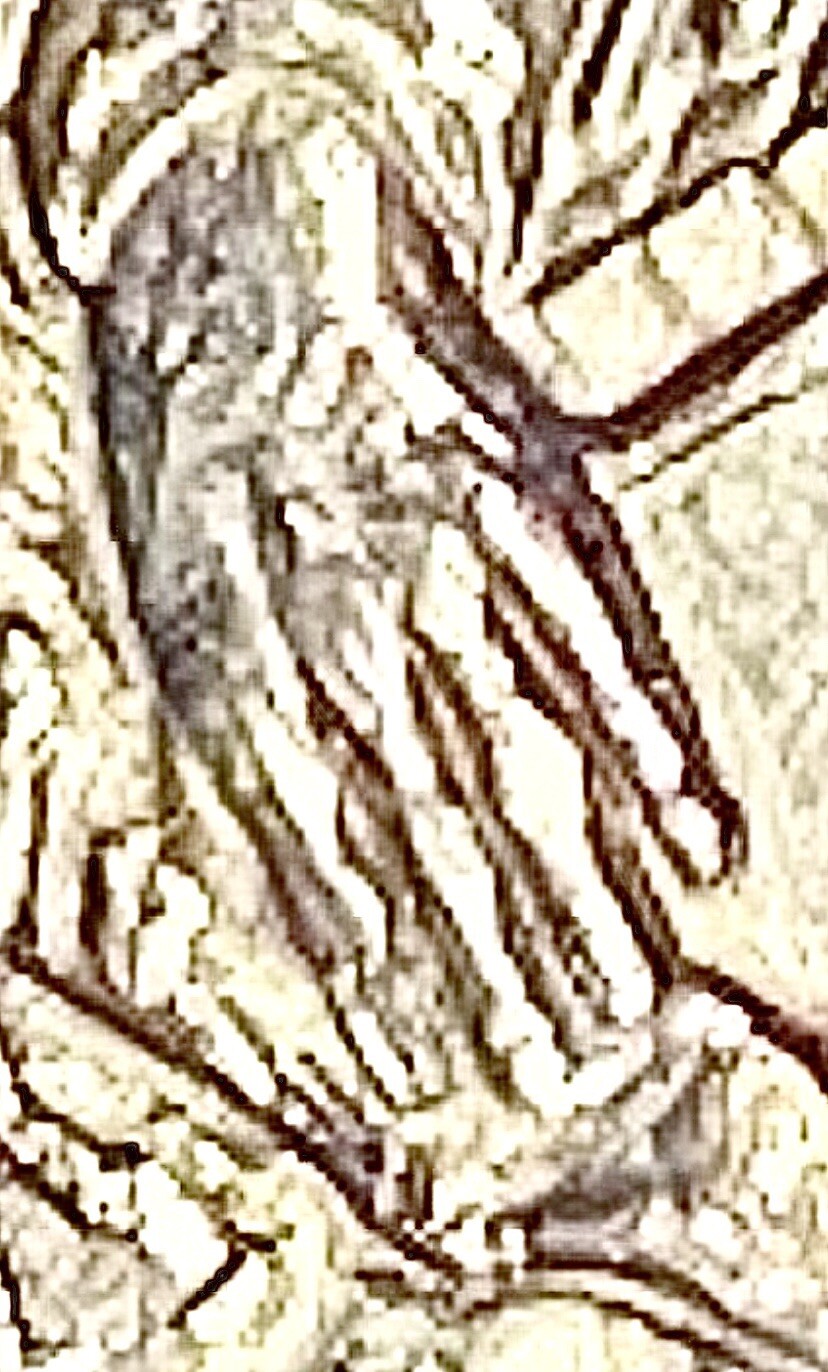 Picture 7 of 7