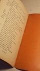Foto 10 di 11