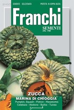 Franchi Seeds of Italy - Pumpkin - Marina Di Chioggia - Seeds