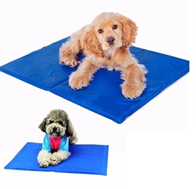 pet express dog beds