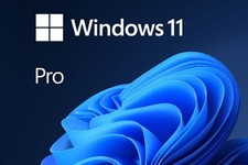 Windows 11 Pro Professional 64 Bit - 5 PC/Activation Key  Free USB INCLUDED