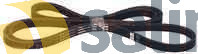 V-RIBBED BELTS 1975PH7 BAUKNECHT 481281728433