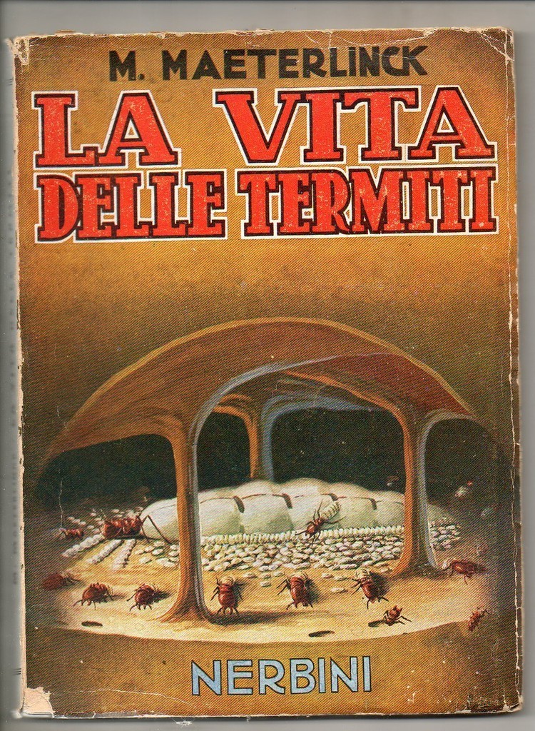 Foto 1 di 1