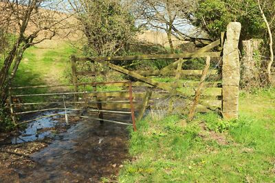 Photo 6x4 Ford Moorshead Brook From the same point as SX7163 : Moorshead  c2017