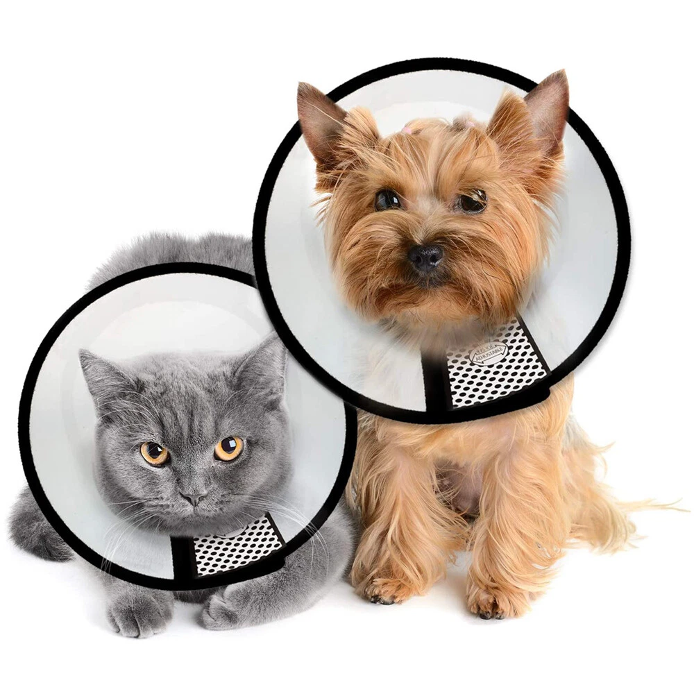 Dog neck cheap cover
