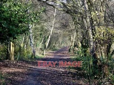 PHOTO  SMESTOW VALLEY NATURE WALK WOLVERHAMPTON THIS PART OF THE EXCELLENT RECRE