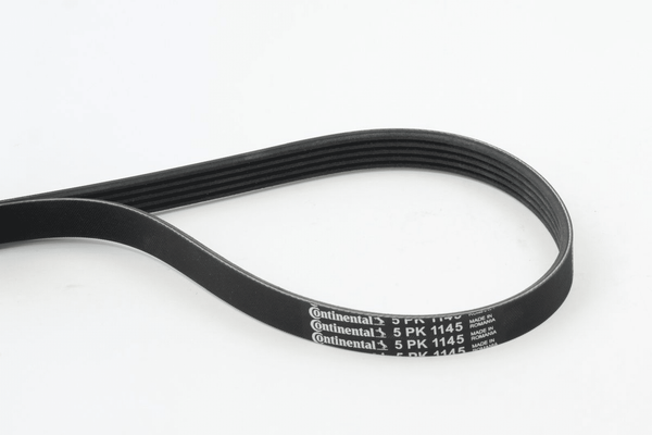 Keilrippenriemen FüR Fiat Ford Lancia MG Mitsubishi Rover 500 C Doblo-image