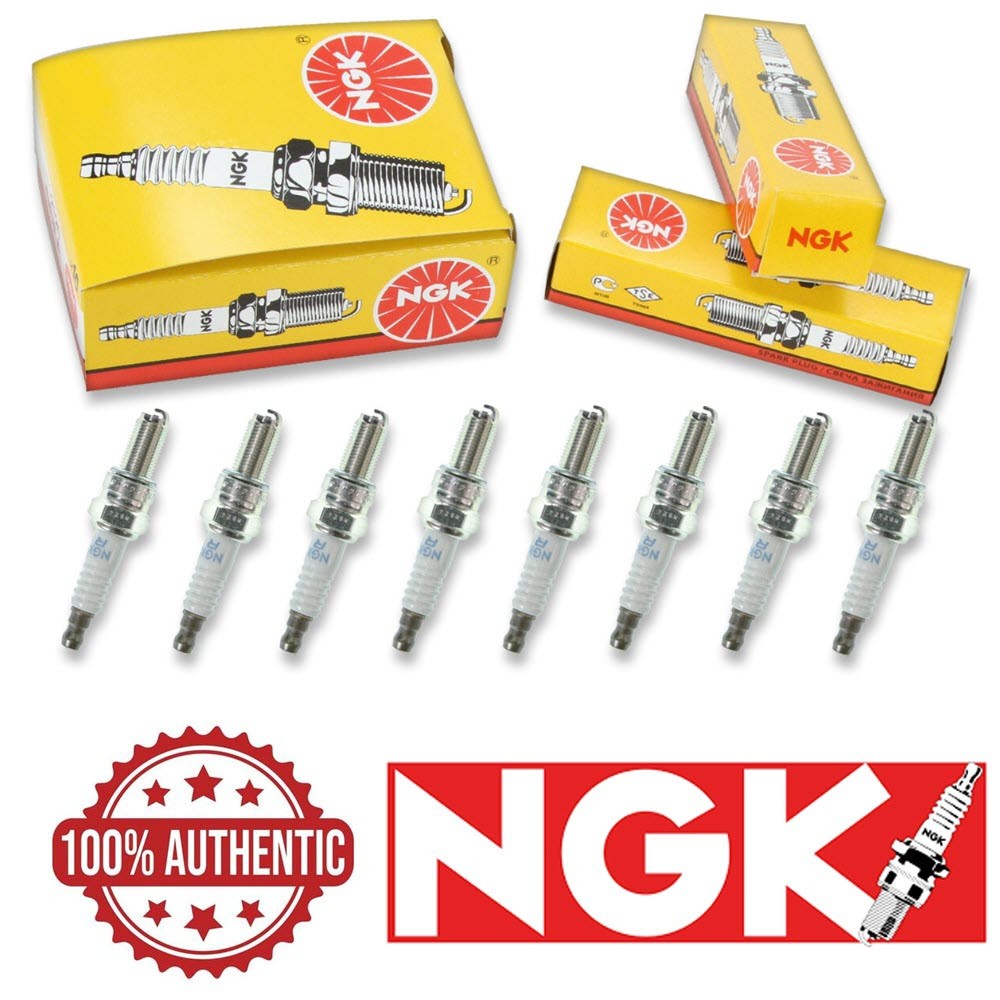 8 pc NGK  7784 CR8EB Standard Spark Plugs for U24ESR-NB 92070-0001 8570084 ue