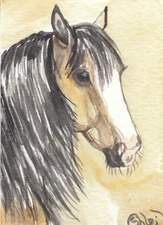 ACEO original Watercolor Art Card HORSE limited color palette Buckskin COB mare