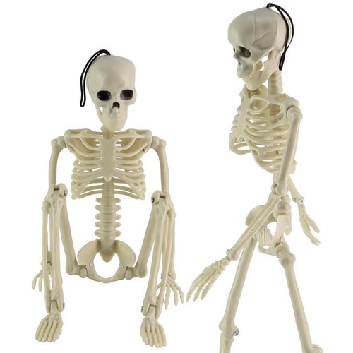 Halloween Human Skeleton Oversized Poseable 16.14inch Decoration Party Prop! - Picture 4 of 12
