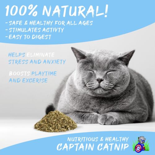 Hierba Orgánica 1.76 Onzas Nepeta Cataria Granja Fresca Muy Potente No Tóxica - Imagen 4 de 11
