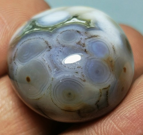 Collection ! Amazing Ocean Jasper Agate palm stone Jasper Reiki Stone - Picture 10 of 12