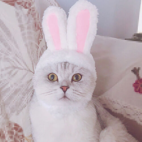 Dog Pet Bunny Rabbit Ears Hat For Cat Small Puppy Kitten Party Costume Outfit