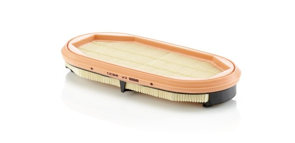 Mann-Filter SekundäRluftfilter IQORON-V CF 2631 Filtereinsatz FüR Claas Arion-image