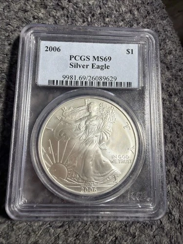 2006 American Silver Eagle — photo from the most recent tracked eBay sale