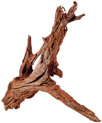 Hobby Mangrovenholz L 35-50cm Aquariumwurzel Wurzel Mangrove - Bild 1 von 1