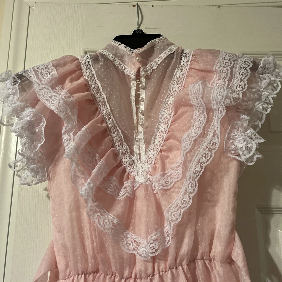 Gunne Sax De Colección Talla 2-4 Rosa Punto Suizo Encaje Tul Manga Corta #Halloween #Teatro Foto 2 de 4