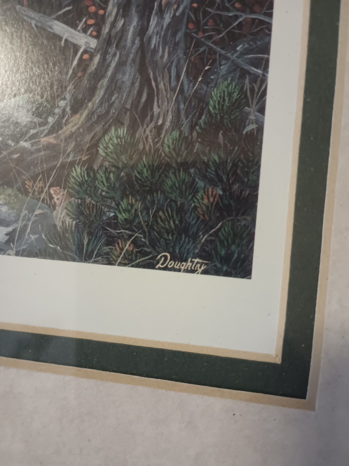Picture 6 of 9