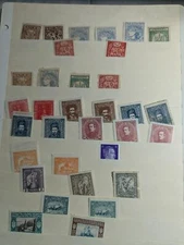 Nice Lot of International Stamps on Stock pages!  -Some Old Ukraine! ~60 Photos!