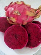 GROW YOUR OWN  RED DRAGON FRUIT - 30 SEEDS.