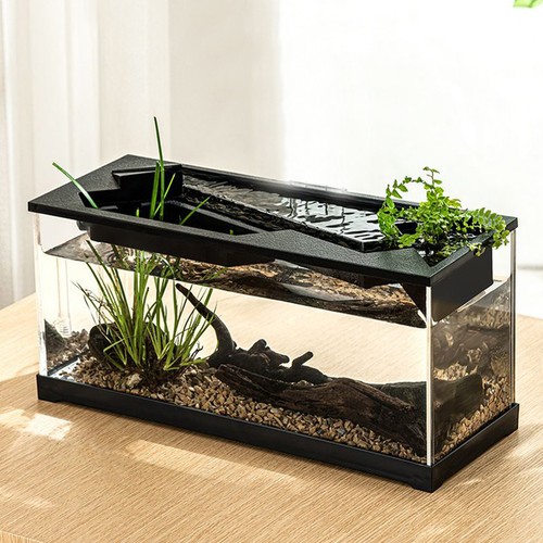 Small Fish Tank Acrylic Clear Desk Aquarium With Filter Fish Tank - Picture 10 of 13