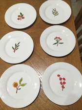 6 CRATE & BARREL 'Berry Sprigs' 7½" SALAD/DESSERT PLATES: Fruits & Leaves (6) 