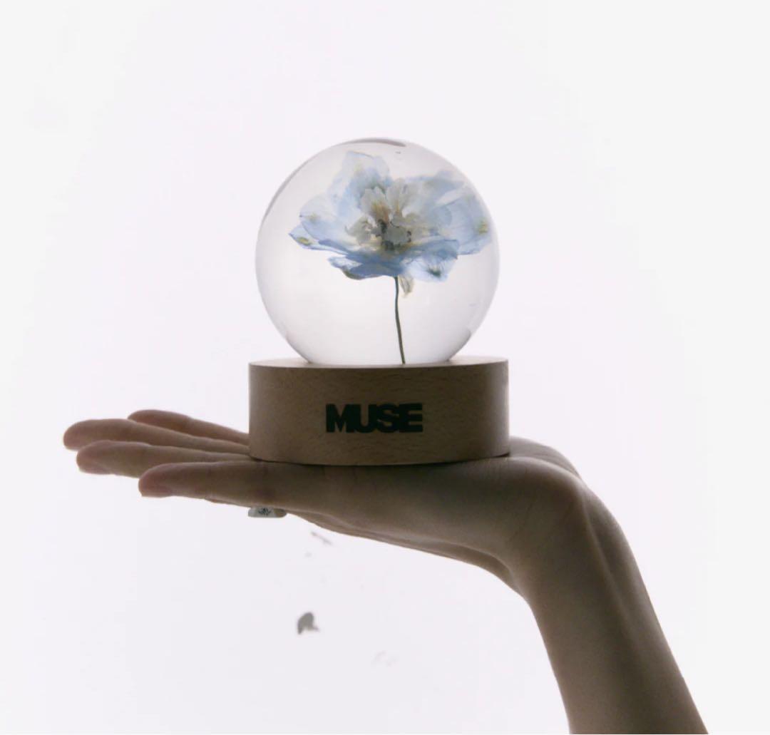 Unopened] BTS Jimin Muse BLOOMING ver. Flower Paper Weight