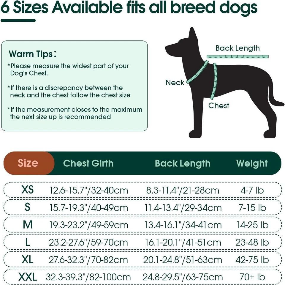 Kuoser Dog Surgery Recovery Suit, Adjustable Dog Post Surgery Body Suit, Grey XS - Image 4 of 4