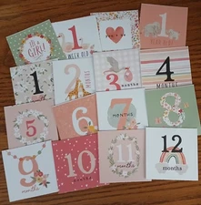 Baby Girl Monthly Journaling Cards~ Echo Park~ Cut Apart~ 16 Pcs.~Scrapbooking 