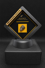 Wonders of the Sky: Chondrite | Agoudal | Campo del Cielo | Real Meteorite w/COA