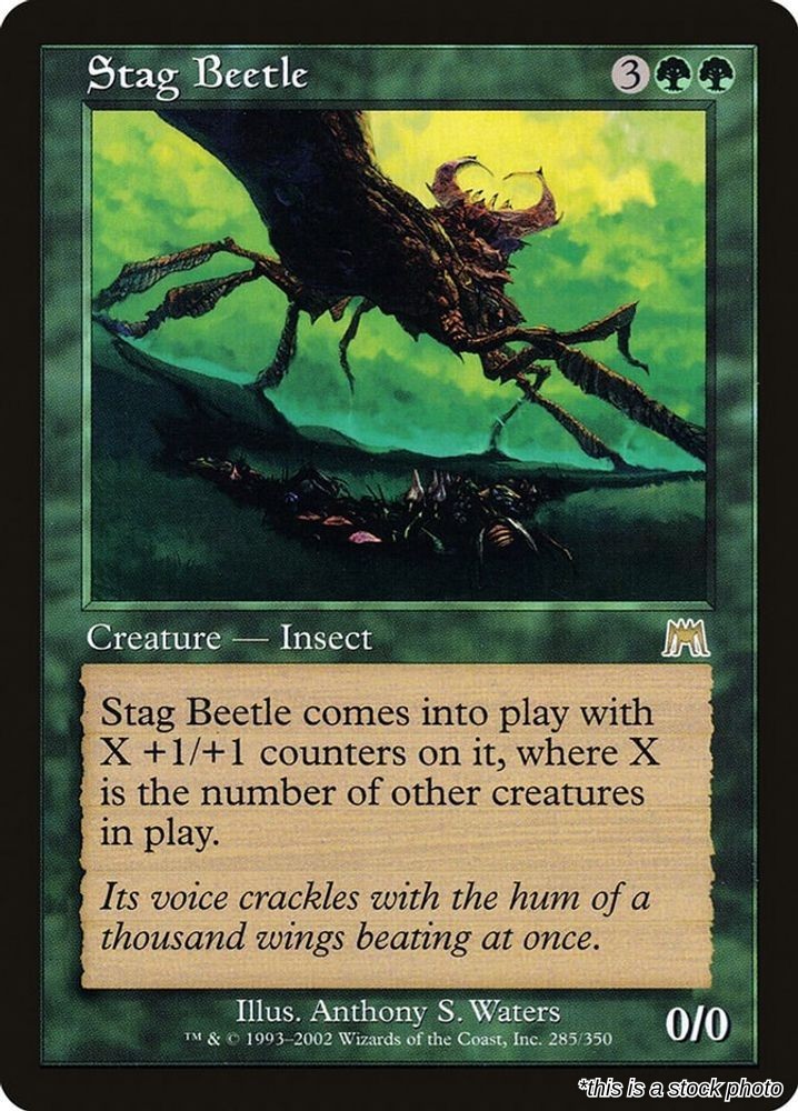 Stag Beetle [ONS - 285]MP