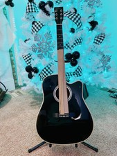 Esteban Alc-200 Master Class Cutaway Acoustic Guitar W/ Bag