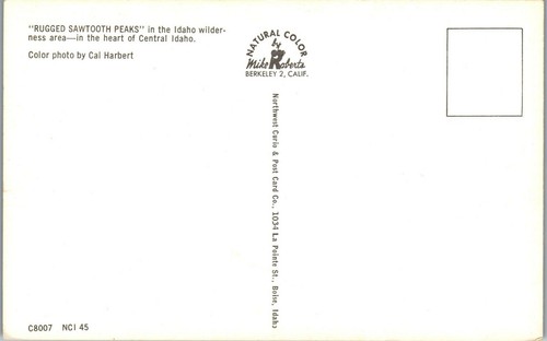 Vintage Idaho Ausweis Postkarte Sägezahn Berge Zentralidaho Schnee - Bild 2 von 4