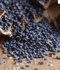 3 LBS English U.K. BLUE POPPY SEEDS ORGANIC 100%Satisfaction