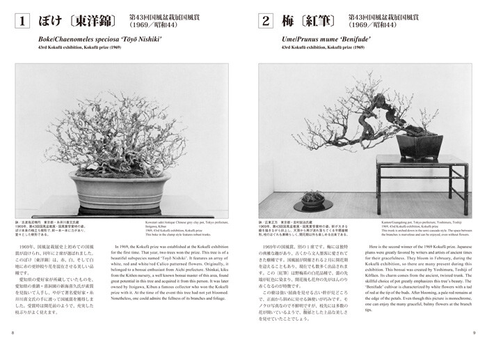 The Bonsai masterpiece collection Vol.1 with English