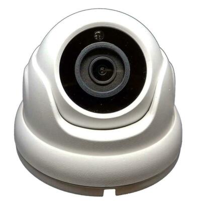 1PV Security Dome Camera Fixed Lens 2MP 2.8mm 1080P PoE Lens IR Monitor