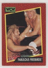 1991 Impel WCW Fabulous Freebirds Michael Hayes Jimmy Garvin #117 0l4h