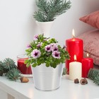 Bild 6 von 12