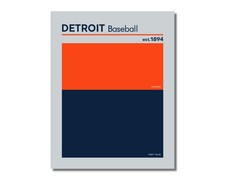 compare to DETROIT TIGERS Baseball Color Swatch Photo Picture 8x10 11x14 16x20