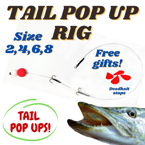 Pike Fishing Deadbait Rig TAIL POP UP Size 2,4,6,8 Pop Up Trace
