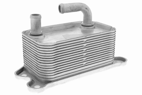 Vemo V95-60-0011 ÖLküHler, MotoröL-image