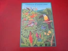 FRANCE - 2003 BIRDS FROM OVERSEAS  UM MINT MINIATURE SHEET - EXCELLENT CONDITION