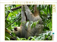 Calvendo Puzzle Faultier | 1000 Teile Lege-GrößE 64X48Cm Foto-Puzzle FüR GlüCkli
