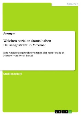 Welchen sozialen Status haben Hausangestellte in Mexiko? (Buch)