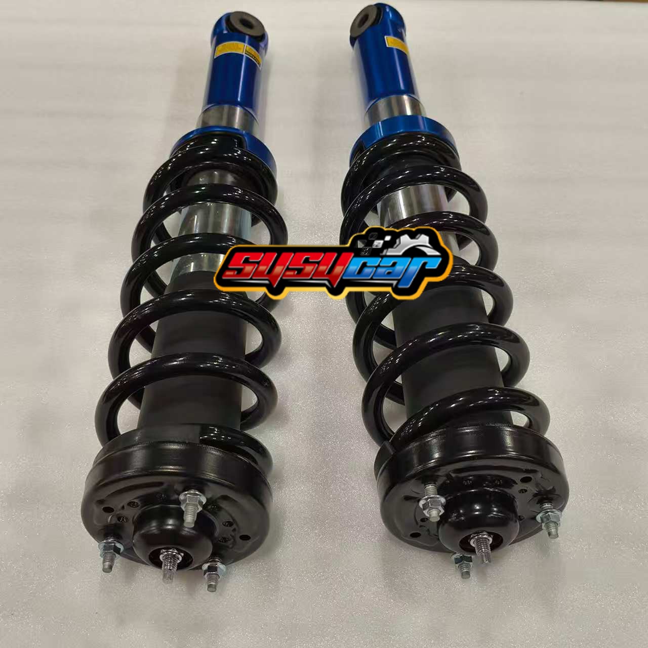 HL3Z-18124-A 2PCS Front Shock Strut Assembly Fit 2017-2024 Ford F-150 SSV XL XLT
