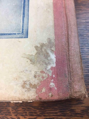 Antique Early 1900s Book JOLLY JINGLES FROM MOTHER GOOSE Profusely Illustrated - Picture 6 of 12