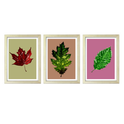 Designs ByLITA Red Maple Leaf, Oak Leaf, Beech Leaf (3 Pack), Wall Print Art